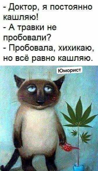 upload_2025-5-6_14-21-43.png