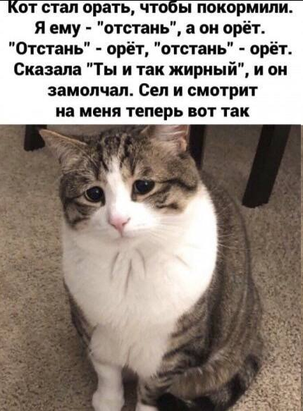 upload_2025-5-10_5-17-45.png