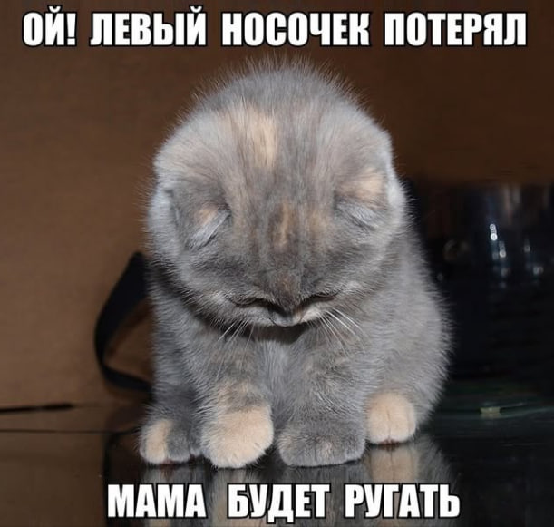 носочек_потерял.jpg