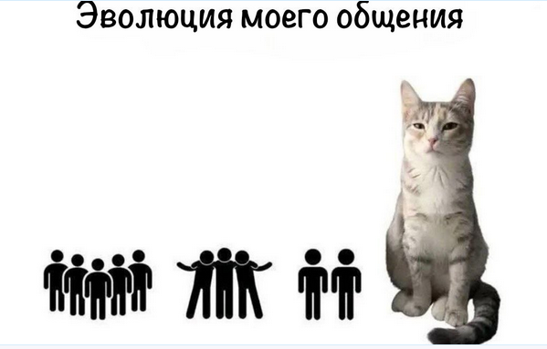 upload_2025-5-29_10-35-55.png