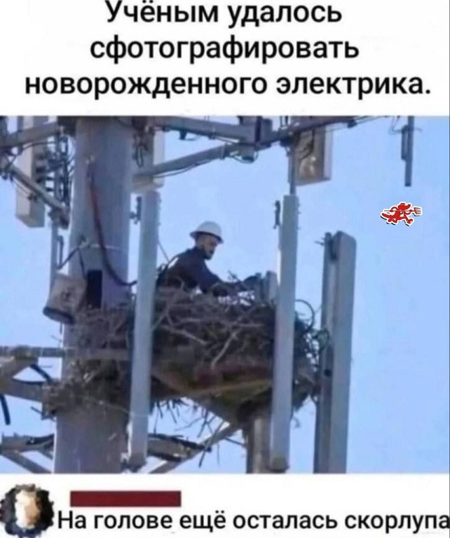 Безымянный.jpg