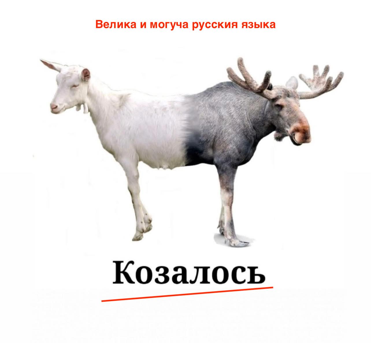 L_8.jpg