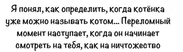 upload_2025-6-12_11-3-17.png