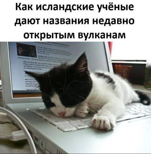 upload_2025-6-22_3-12-53.png