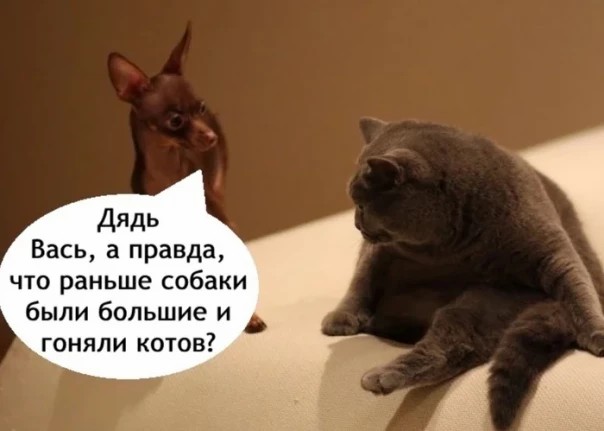 1751735342_7mvkwxc5.jpg