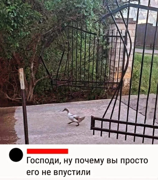9222994_original.jpg