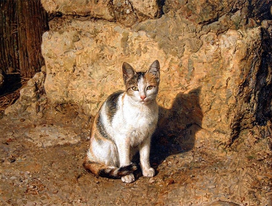 Кошечка.jpg