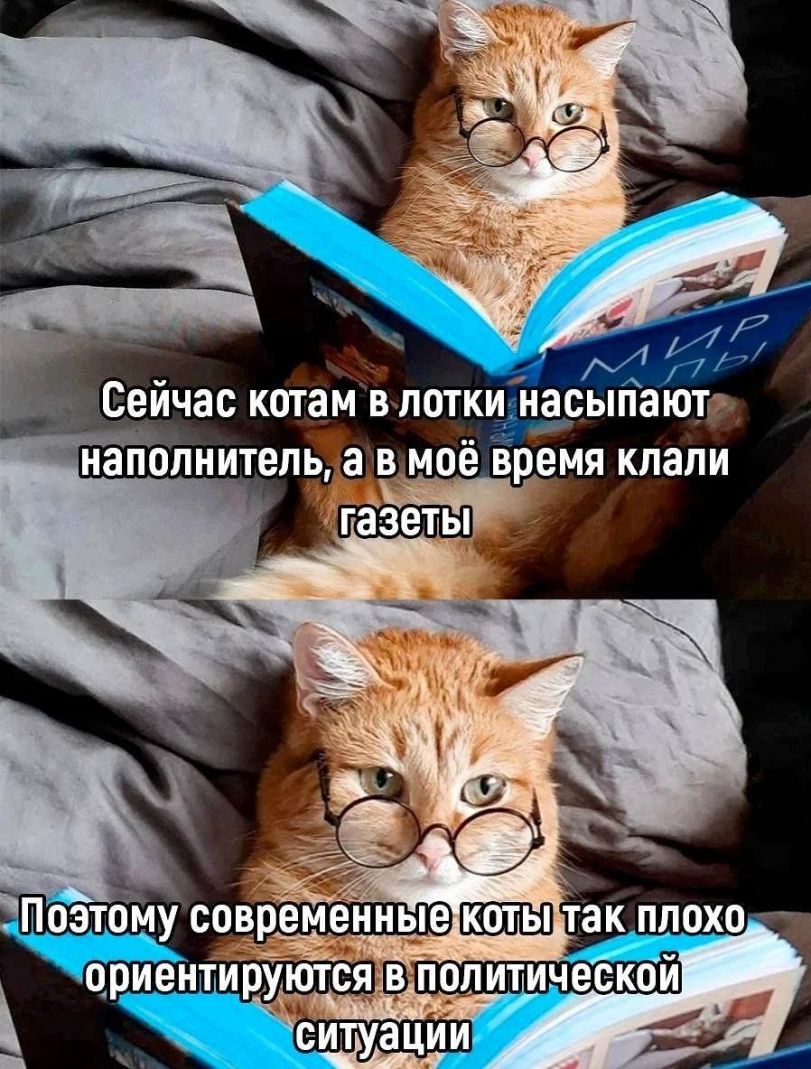 9064846.jpg