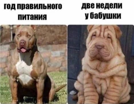 babushka_vsegda_kormit.jpg