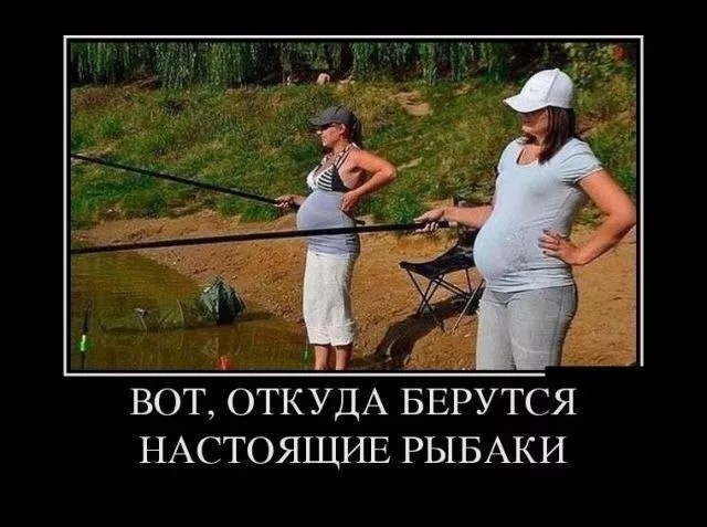 9309565_original.jpg