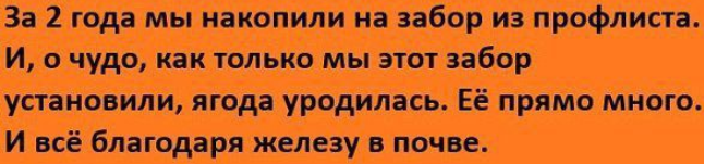 upload_2025-9-25_13-9-3.png