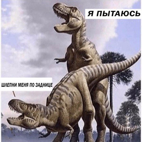 7aeab80286ad.jpg
