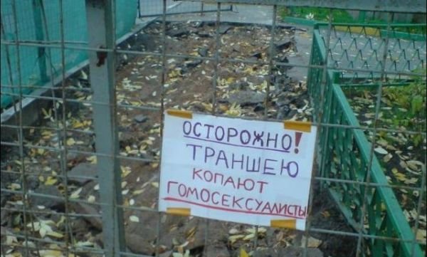 гомики.jpg