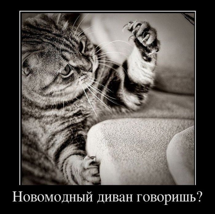 1f535cde0c4a.jpg
