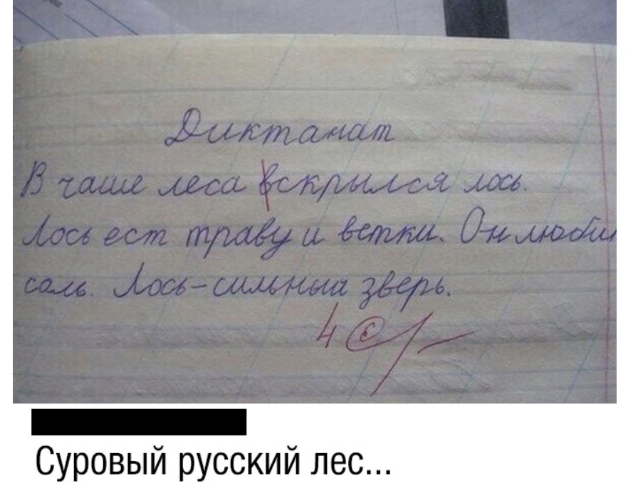 диктант.jpg