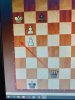 изображение_viber_2023-05-22_15-50-38-605.jpg